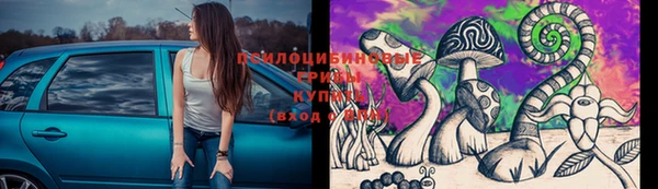 гашик Богданович
