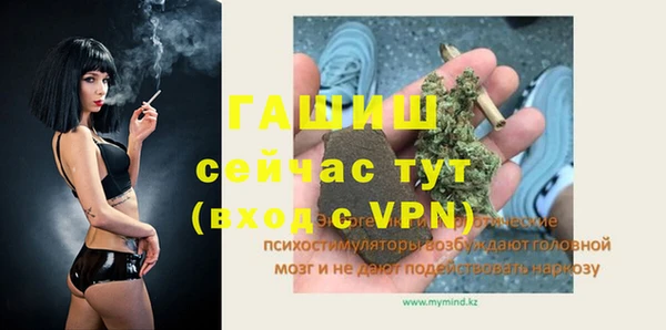 гашик Богданович