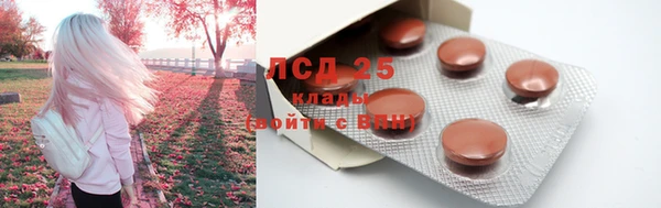 мдпв Богородицк