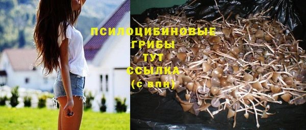 СК Бородино