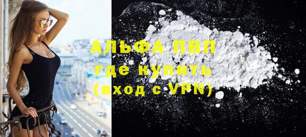 гашик Богданович