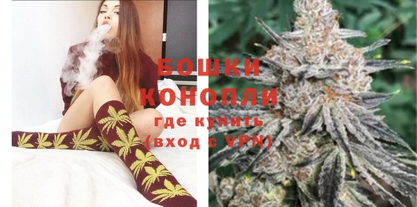 гашик Богданович