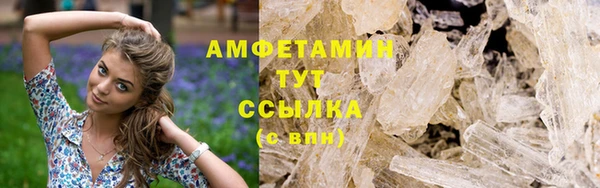 гашик Богданович