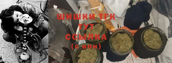 гашик Богданович